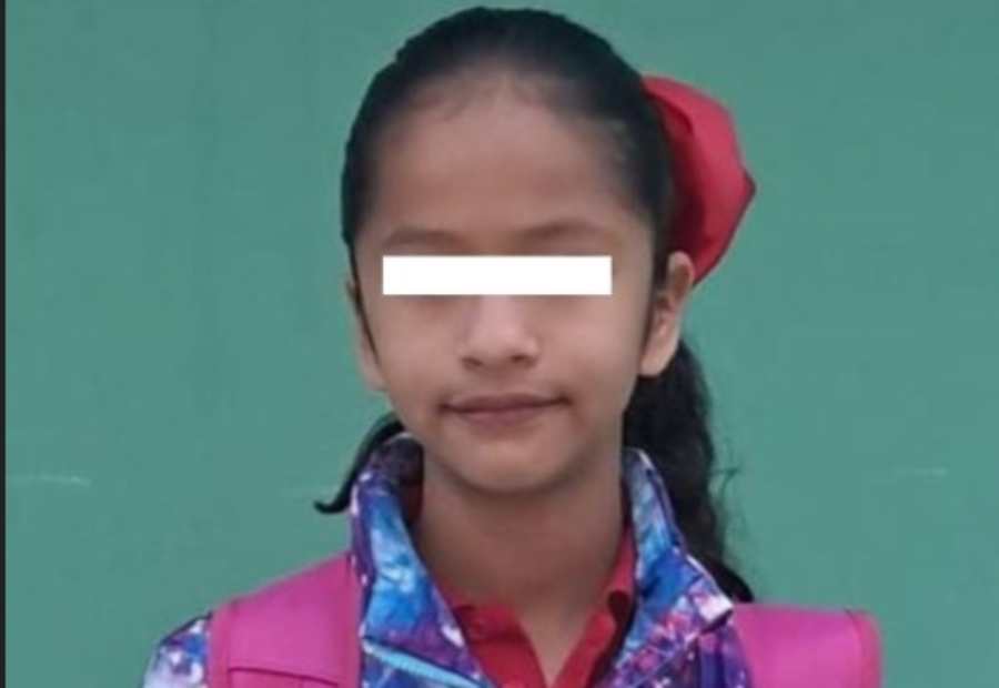 Secuestran y matan a niña de 11 años en Nuevo León; detienen a ...